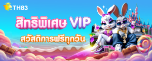 สิทธิพิเศษ VIP